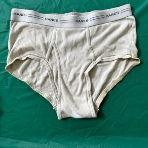 hanes brief